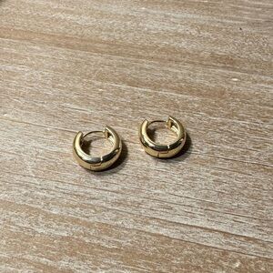 New Gold Hoop Earrings